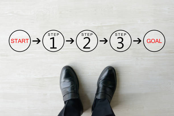 アイピア導入の流れ